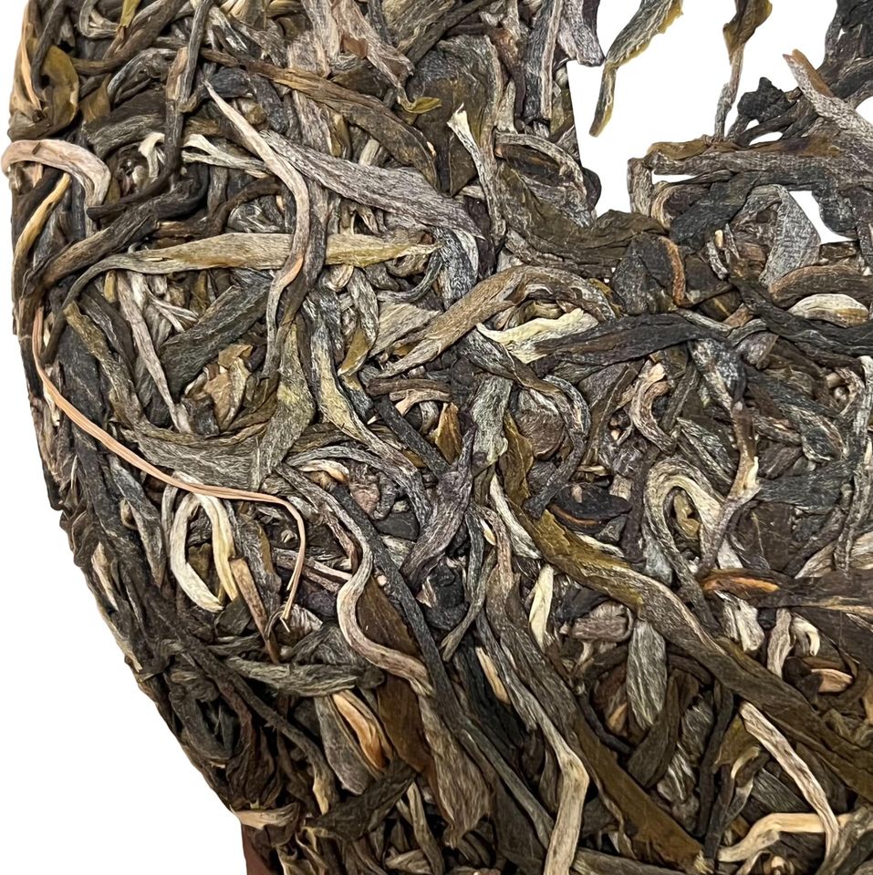 Long River Pu'er ปี 2023