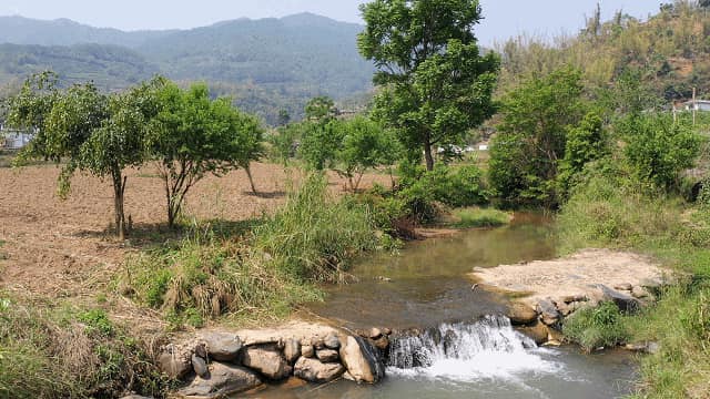 ชาผู่เอ๋อร์ดิบหกดาว จากภูเขา Kunlu🍃