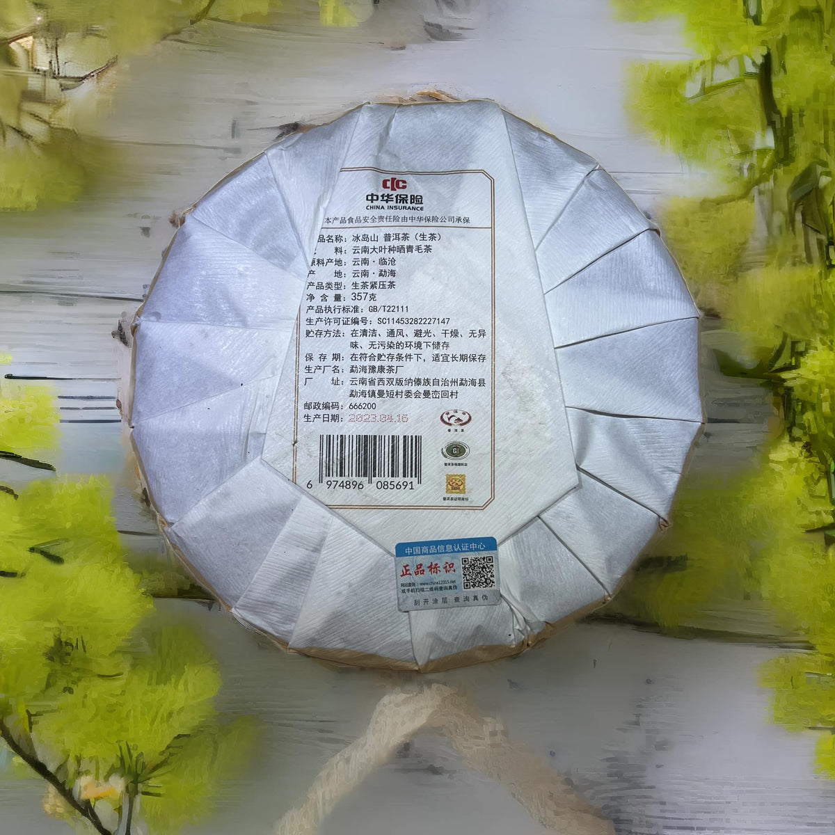 ชาผู่เอ๋อร์ดิบ Bingdao ปี 2023 - ชาใหม่จาก Yukan Tea Factory🍃