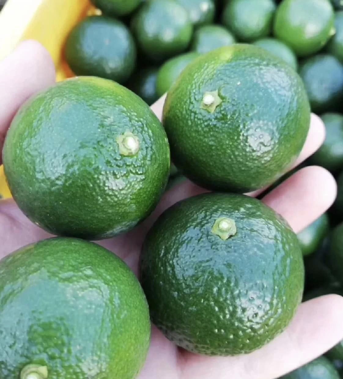 กานผู่ชา (Ganpu cha) หรือชาผู่เอ๋อร์สุกในผลส้ม (Mandarin orange peel Pu’er)
