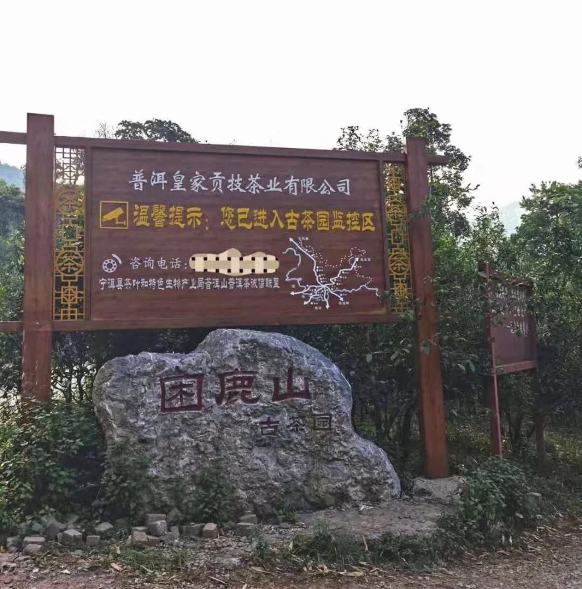 ชาผู่เอ๋อร์ดิบจาก Kunlu Mountain ปี 2022