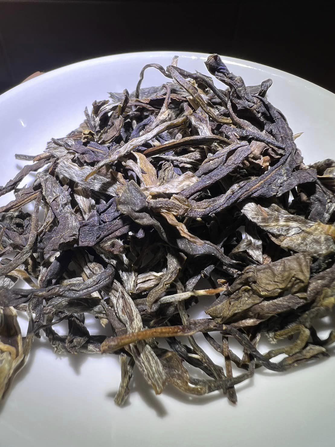 Master's Selection: Bohetang ปี 2022🍃