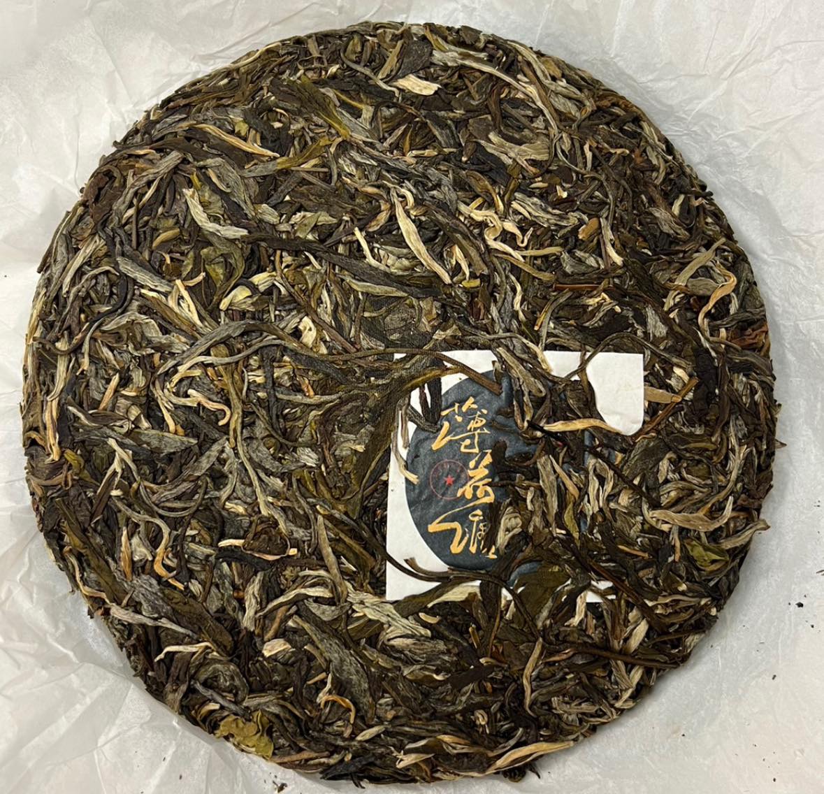 Master's Selection: Bohetang ปี 2022🍃