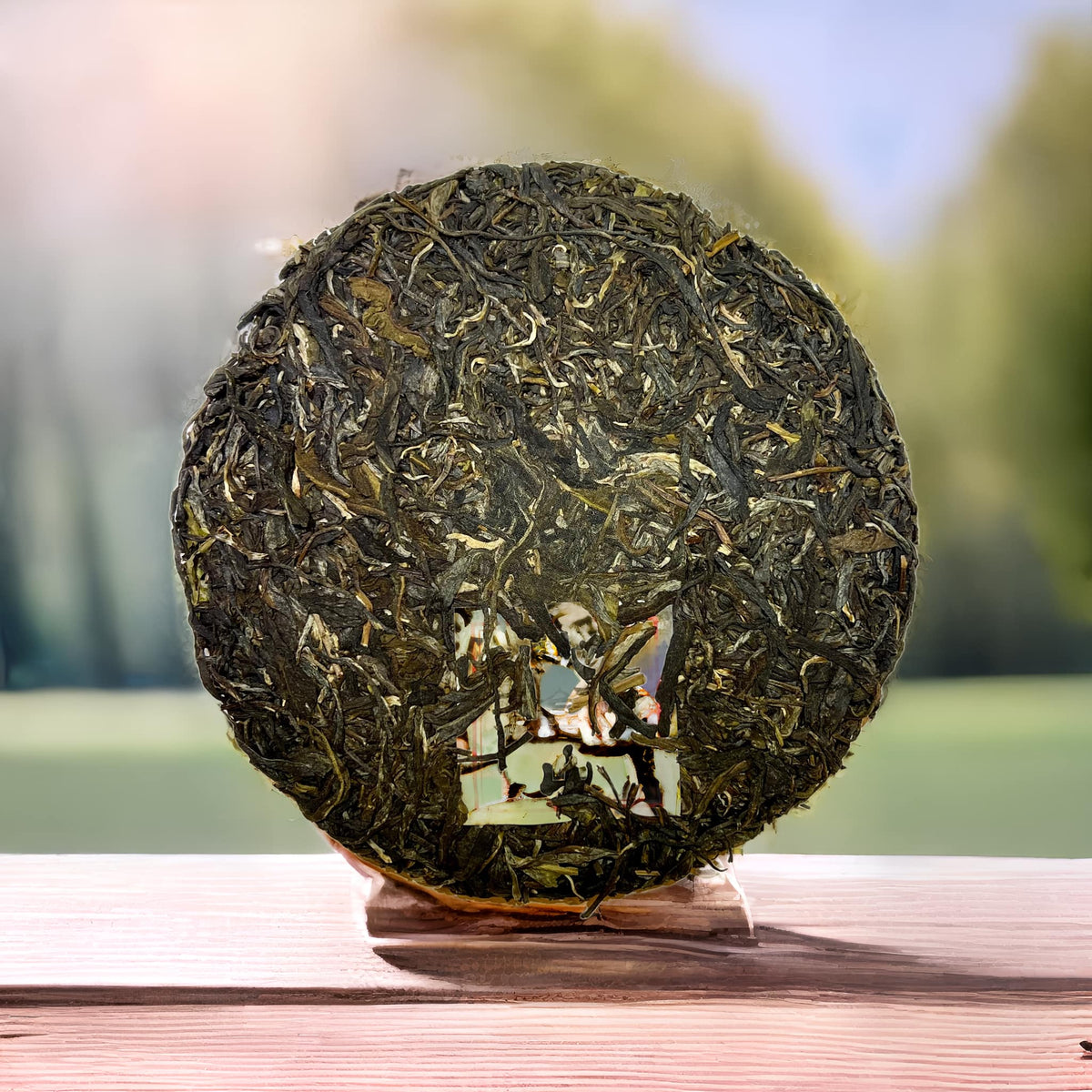 ชาผู่เอ๋อร์ดิบ Bingdao ปี 2023 - ชาใหม่จาก Yukan Tea Factory🍃
