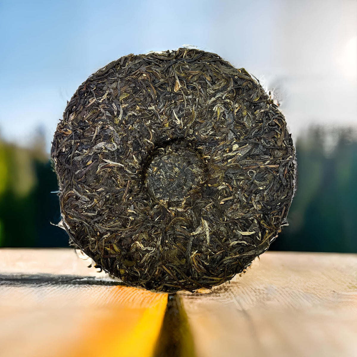ชาผู่เอ๋อร์ดิบ Bingdao ปี 2023 - ชาใหม่จาก Yukan Tea Factory🍃