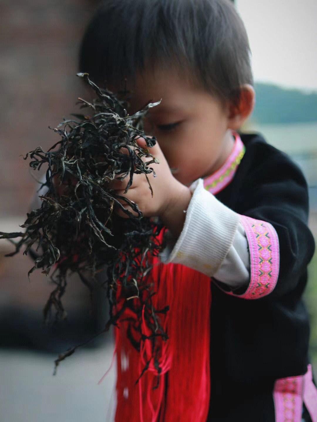 ชาผู่เอ๋อร์ดิบ Yiwu Guafengzhai ปี 2015
