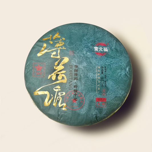 Master's Selection: Bohetang ปี 2022🍃
